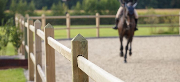 Burenoverlast en handhaving Burenoverlast en handhaving